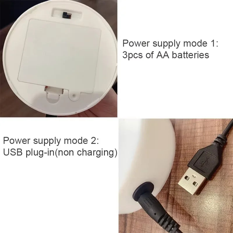 Lampe de chevet cactus